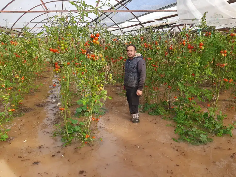 Antalya Tarımında Afet Bilançosu: Zarar 3 Milyar Lirayı Bulabilir! 6